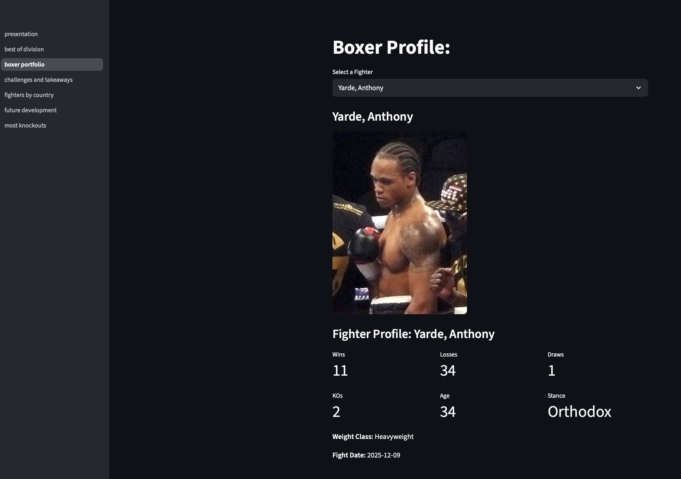 boxing ring etl example streamlit page